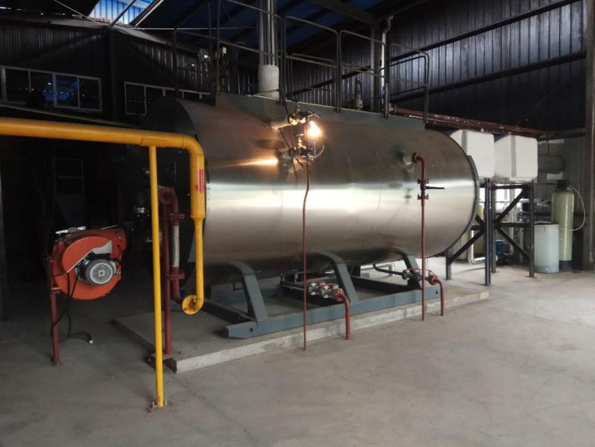 4T/H 的自然气锅炉