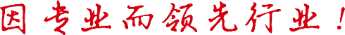 因专业而当先行业,榆林pp电子灯饰